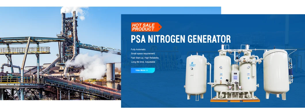 99.999% Nitrogen Generation Unit Psa Nitrogen Gas Generator Price