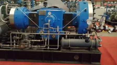 Recuperação de Gás Explosivo Inflamável Compressor de Gás H2 Compressor de Hidrogênio