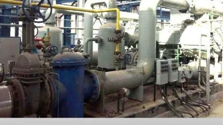 Pistão alternativo de alta pressão isento de óleo industrial (CNG, CO, CO2, BOG, LNG, GLP, associado, síntese, hidrogênio, metano, natural) Compressor de gás